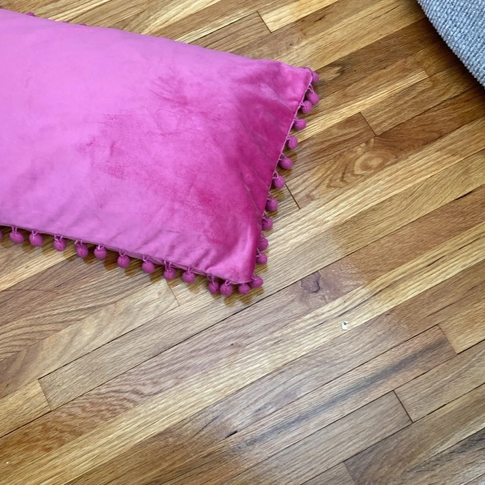 ♻️Pink pillow case 19x 12 throw pillow